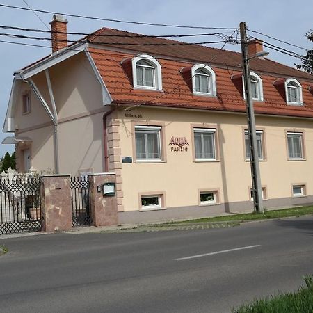 Aqua Panzio Hotel Hajduszoboszlo Exterior photo